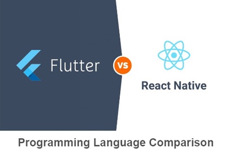 flutter vs react native